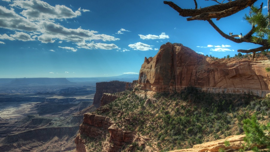 DSC_0629.jpg DSC 0629