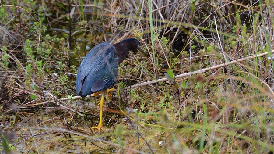 DSC_3340.jpg DSC 3340