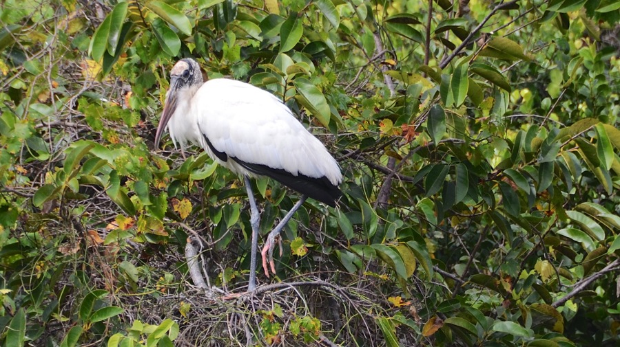 DSC_3344.jpg DSC 3344