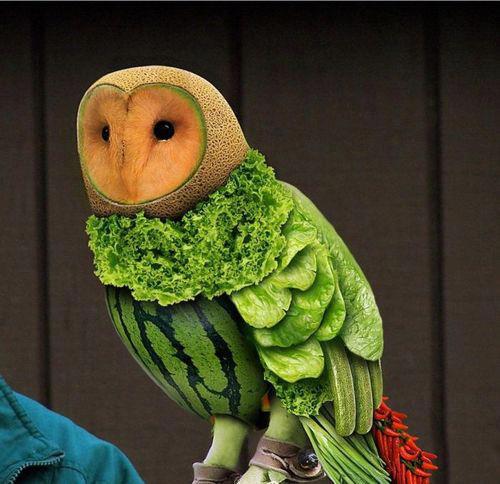 Owl-Made-of-Fruit.jpg Owl Made of Fruit