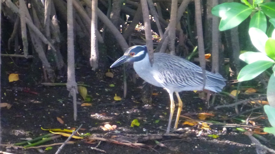 P1000260.jpg P1000260