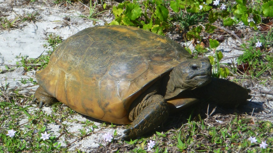 P1000287.jpg P1000287