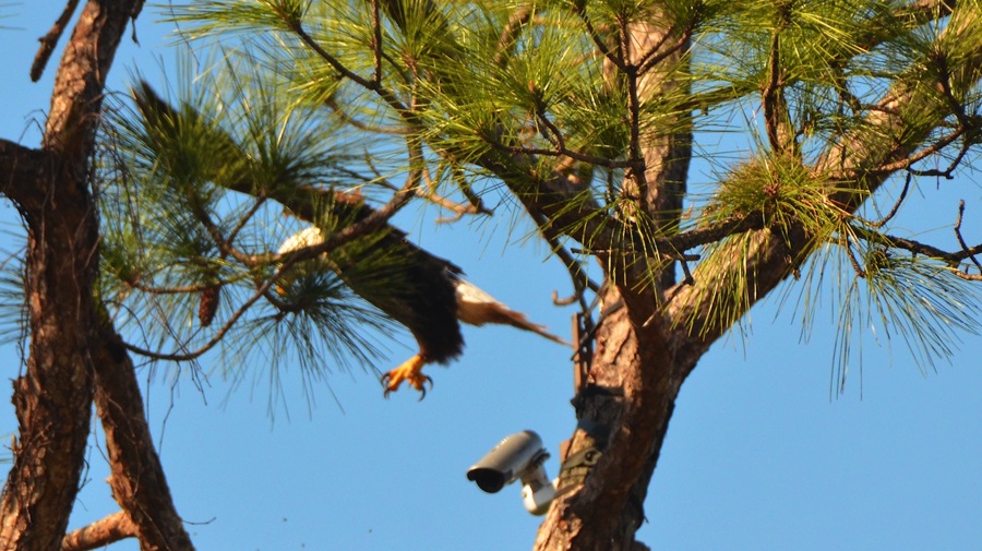 DSC_2697.jpg DSC 2697