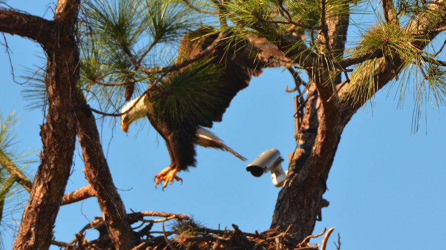 DSC_2698.jpg DSC 2698