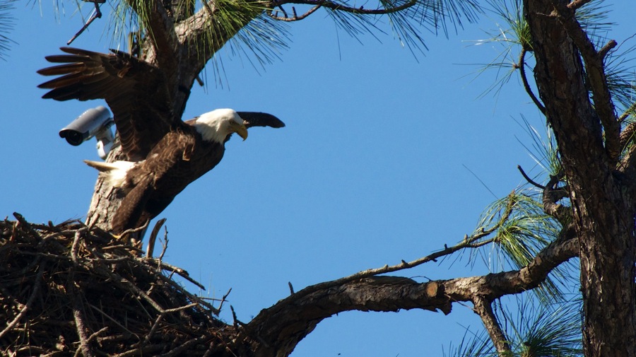 DSC_2738.jpg DSC 2738