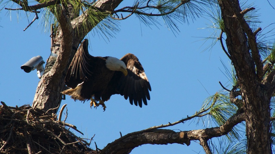 DSC_2739.jpg DSC 2739