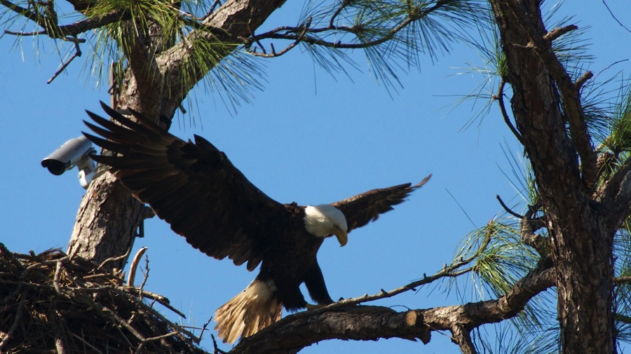 DSC_2740.jpg DSC 2740