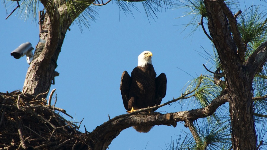 DSC_2746.jpg DSC 2746