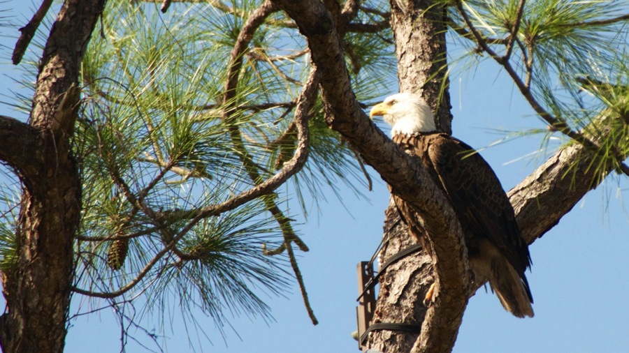 DSC_2793.jpg DSC 2793