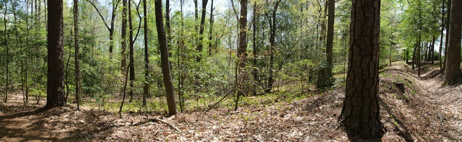 ColdHarborBattlefield20140424