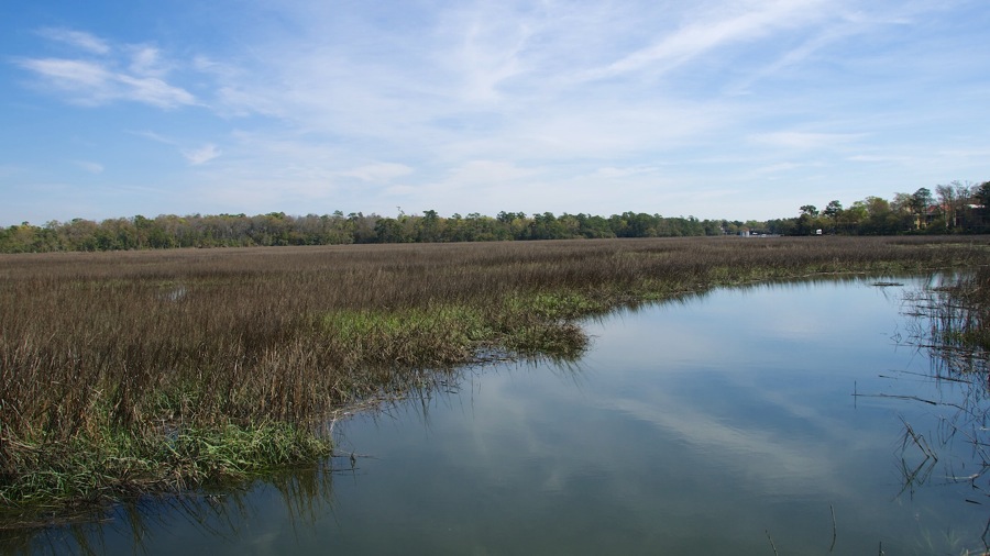 DSC_3493.jpg DSC 3493