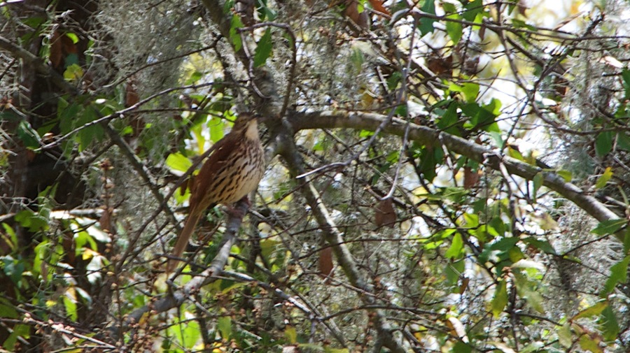 DSC_3504.jpg DSC 3504