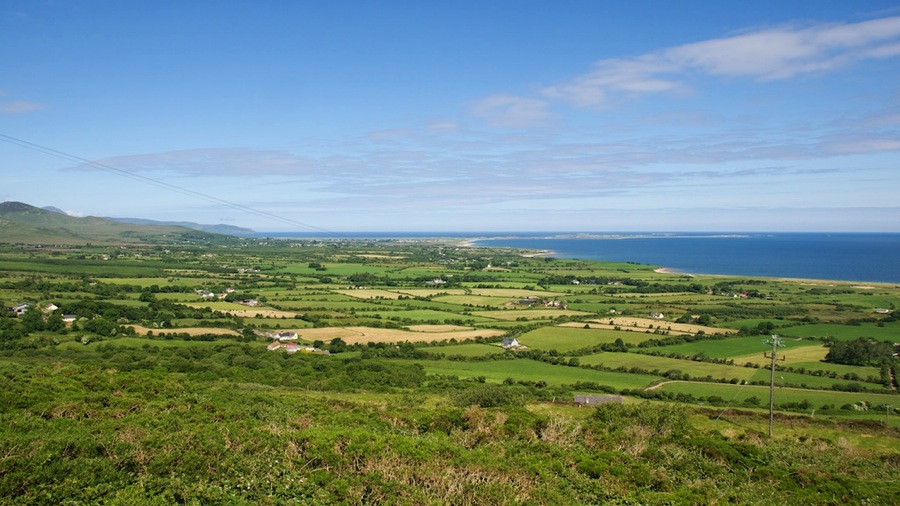 DSC_5661.jpg DSC 5661