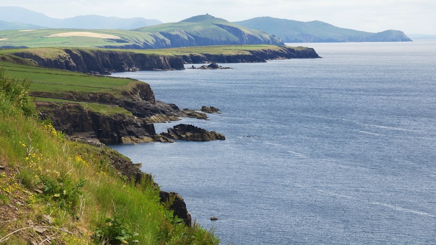 DSC_5676.jpg DSC 5676