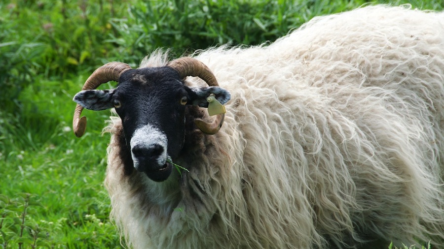 DSC_5685.jpg DSC 5685