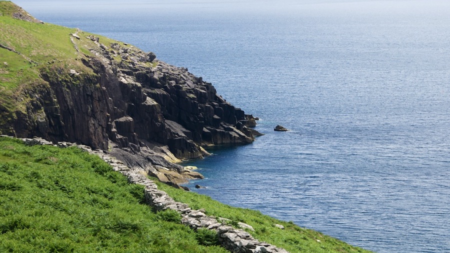 DSC_5688.jpg DSC 5688