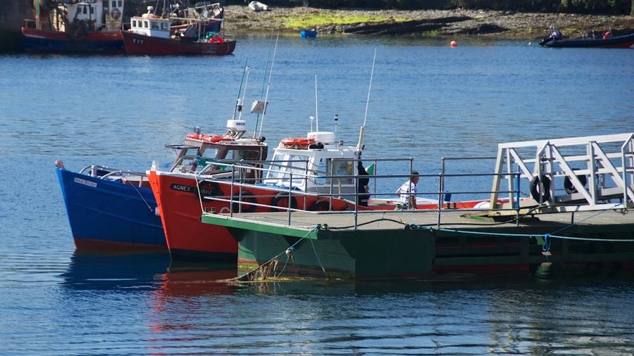 DSC_5750.jpg DSC 5750