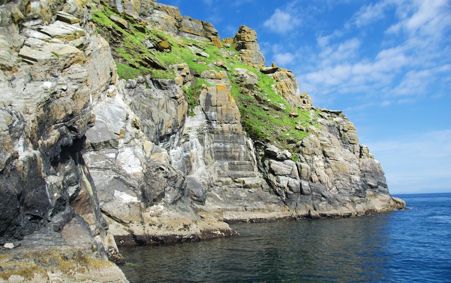 DSC_5786.jpg DSC 5786