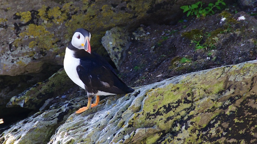 DSC_5789.jpg DSC 5789