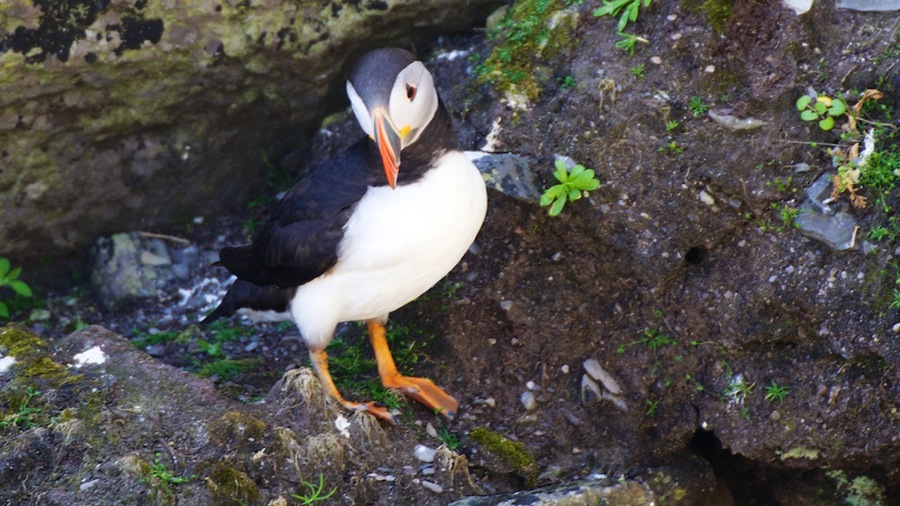 DSC_5792.jpg DSC 5792