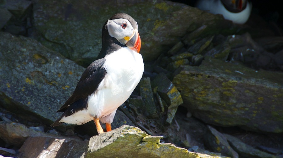 DSC_5805.jpg DSC 5805