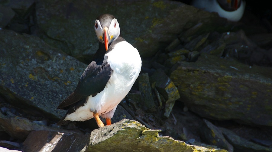 DSC_5808.jpg DSC 5808