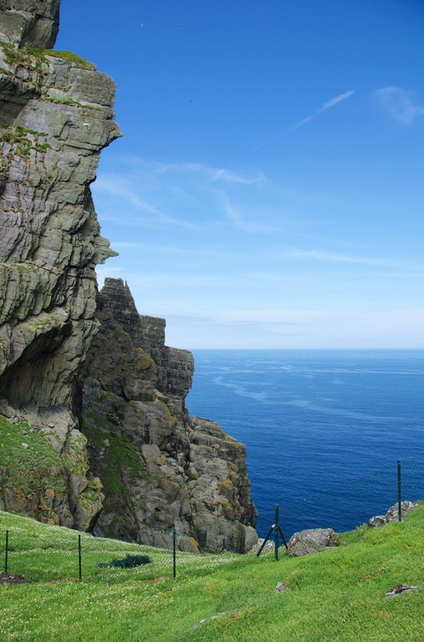 DSC_5825.jpg DSC 5825