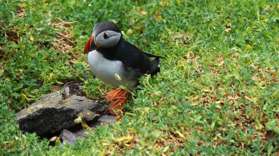 DSC_5829.jpg DSC 5829