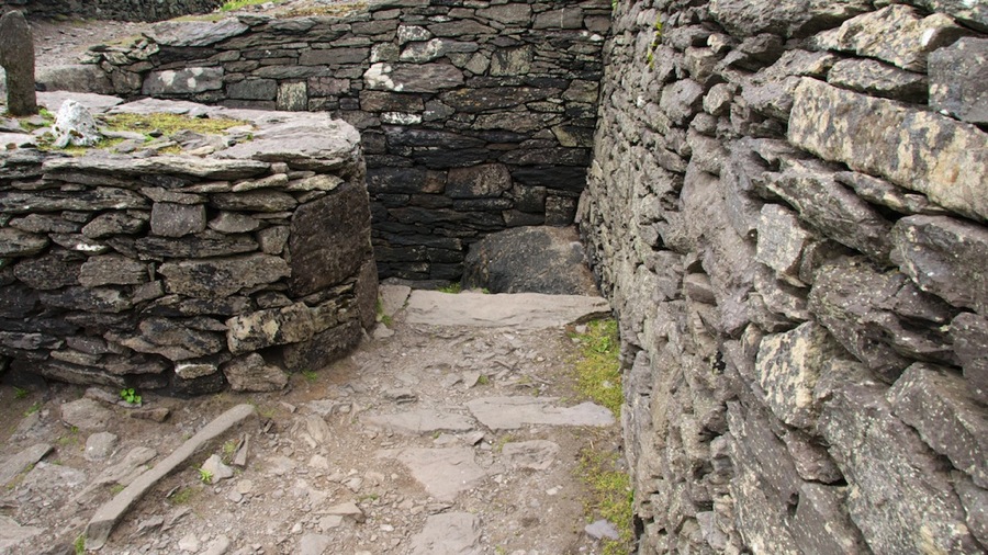 DSC_5851.jpg DSC 5851