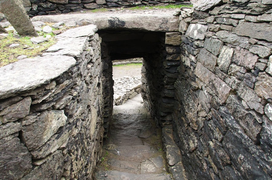 DSC_5853.jpg DSC 5853