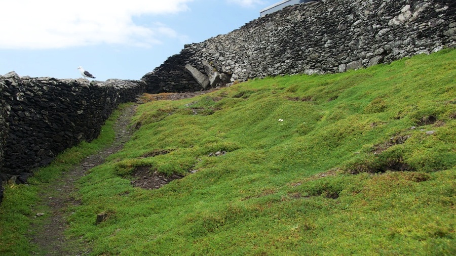 DSC_5854.jpg DSC 5854