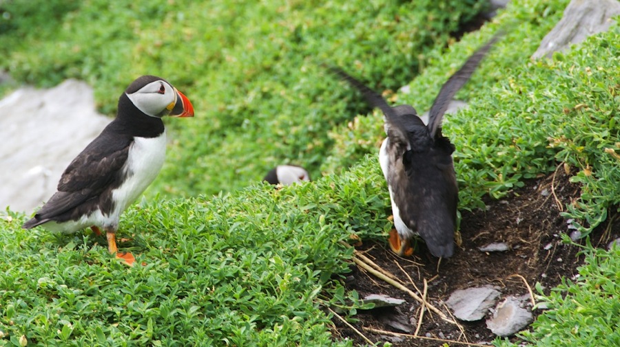 DSC_5864.jpg DSC 5864