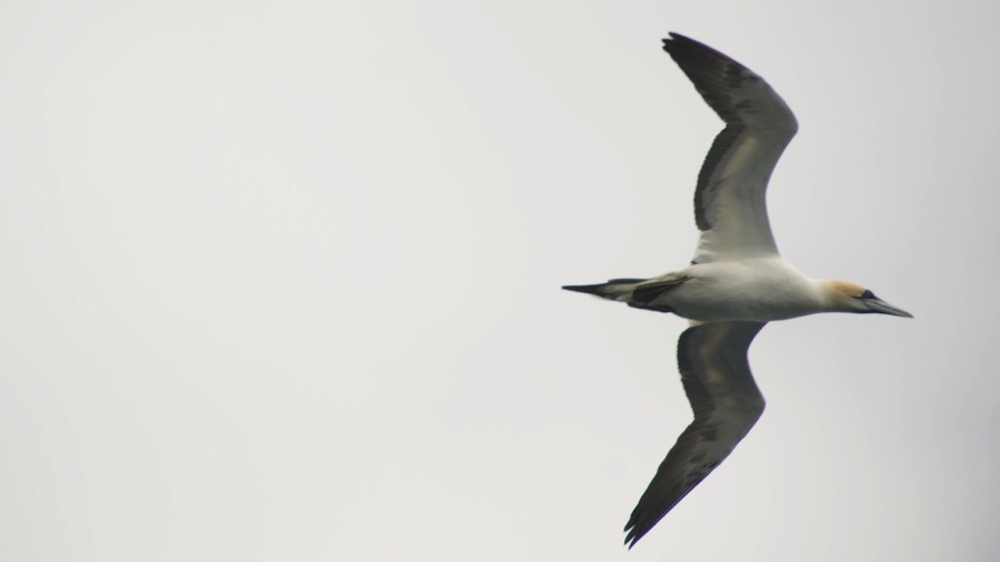 DSC_5897.jpg DSC 5897