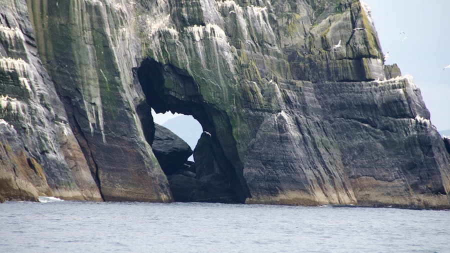 DSC_5899.jpg DSC 5899