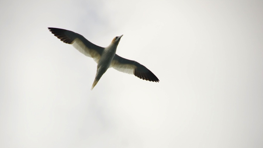 DSC_5909.jpg DSC 5909