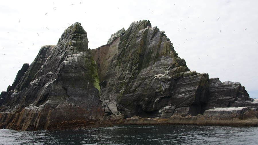 DSC_5993.jpg DSC 5993