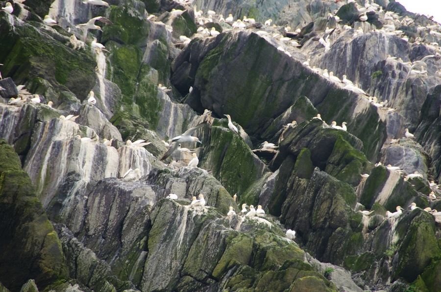 DSC_6015.jpg DSC 6015