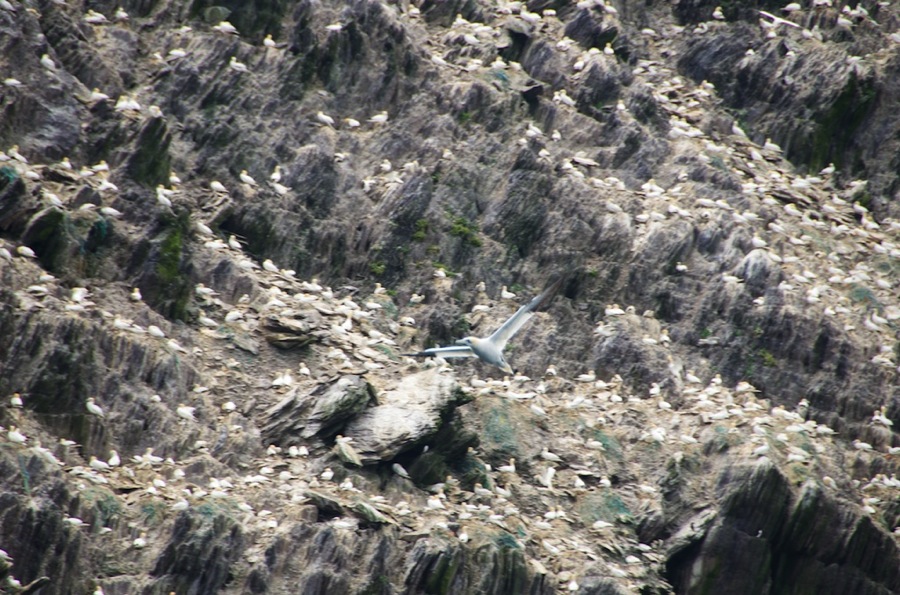 DSC_6032.jpg DSC 6032