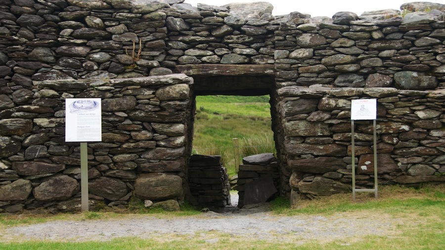 DSC_6061.jpg DSC 6061