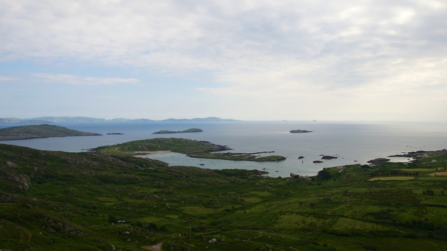 DSC_6069.jpg DSC 6069