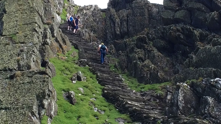 IMG_1257.jpg IMG 1257