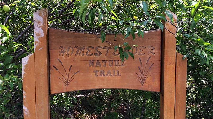 HomesteaderNatureTrail