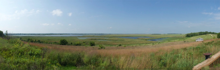 HoriconMarshNWR20140829small