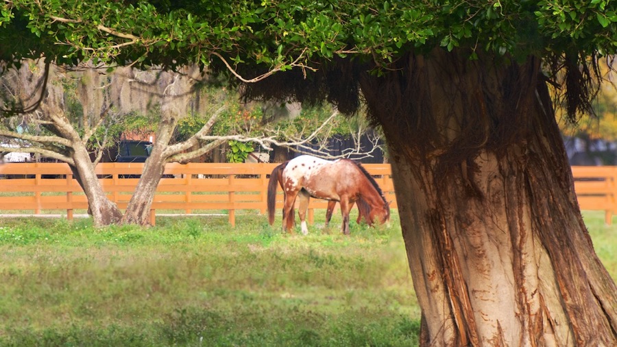 D71_0415.jpg D71 0415