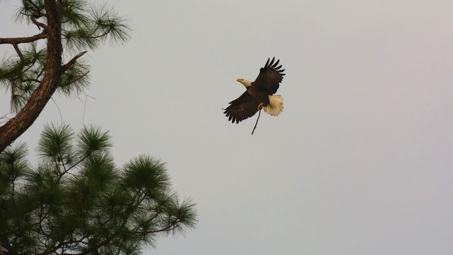 D71_0426.jpg D71 0426