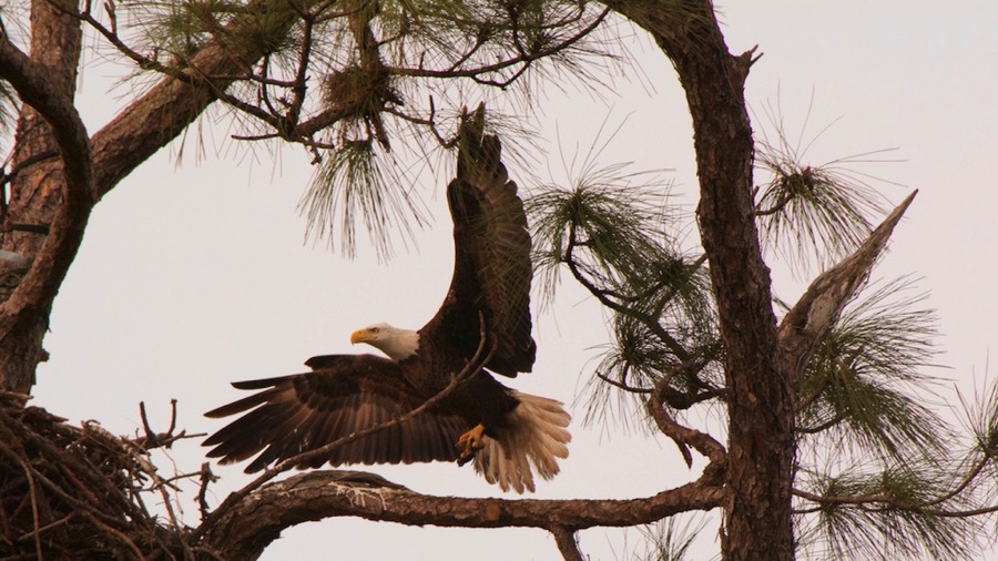 D71_0527.jpg D71 0527