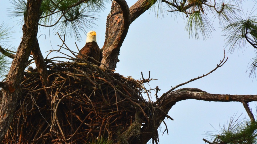 D71_0560.jpg D71 0560