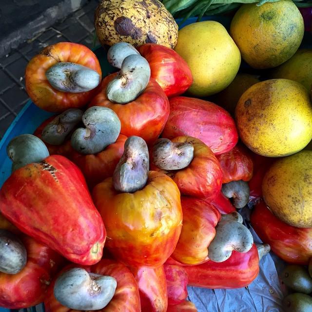 Cashew in the Wild.jpeg Cashew in the Wild