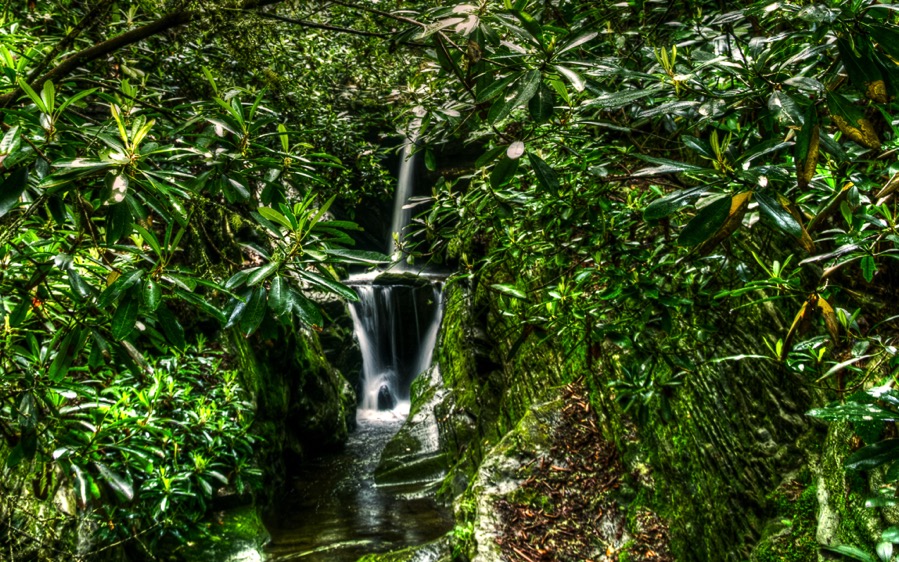 D71 1920 Edit tonemapped