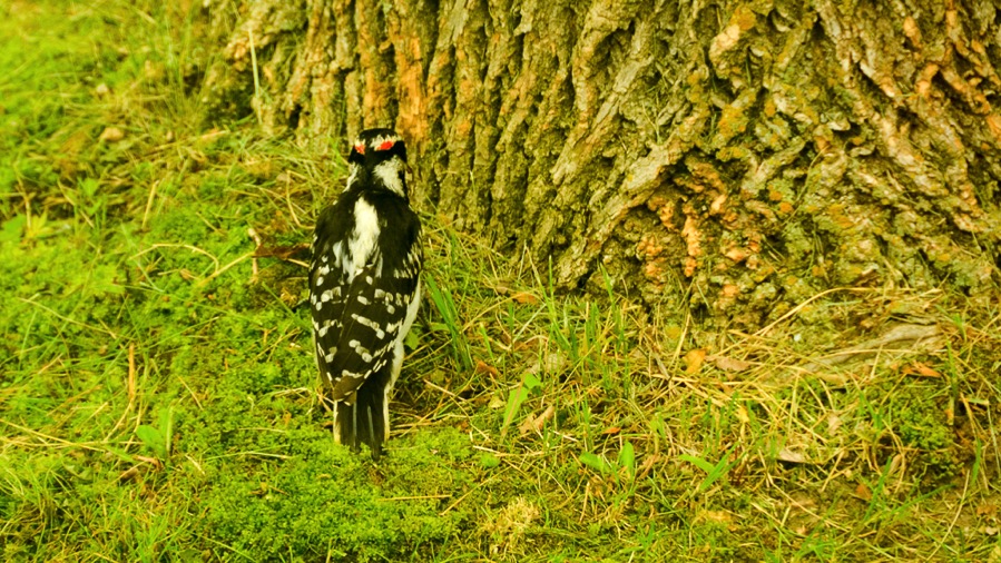 D71_2192.jpg D71 2192